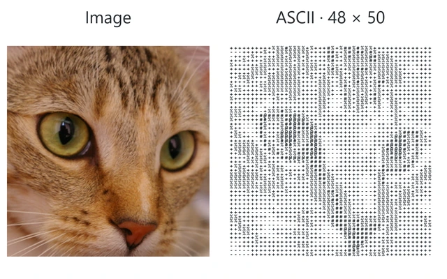 A close-up photograph of a cat beside its conversion to a 48-column, 50-row grid of ASCII characters